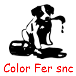 Color Fer snc